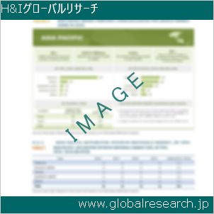 グローバルリサーチ調査レポートのイメージ